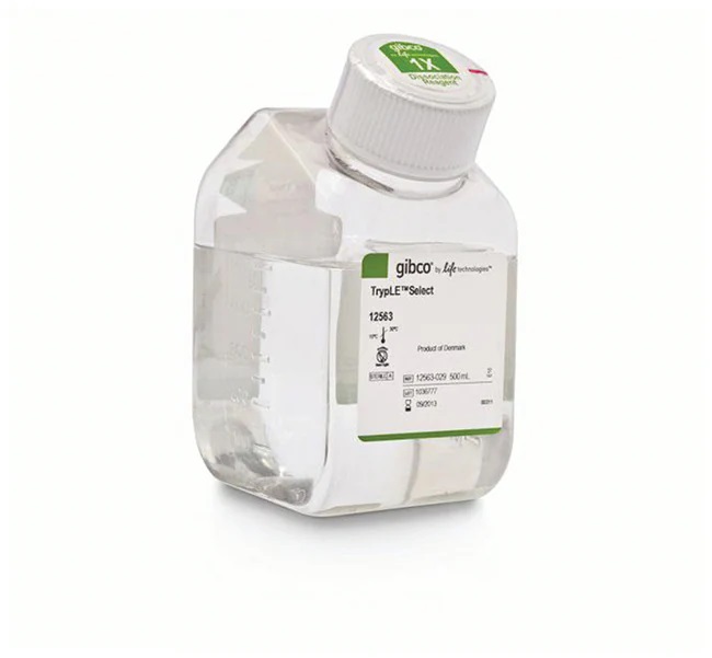 Gibco TrypLE Select Enzyme (1X), no phenol red 500mL